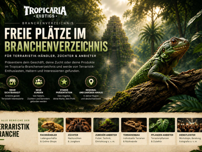 freie-platze-im-tropicaria-branchenverzeichnis-terraristik-handler-anbieter-gesucht